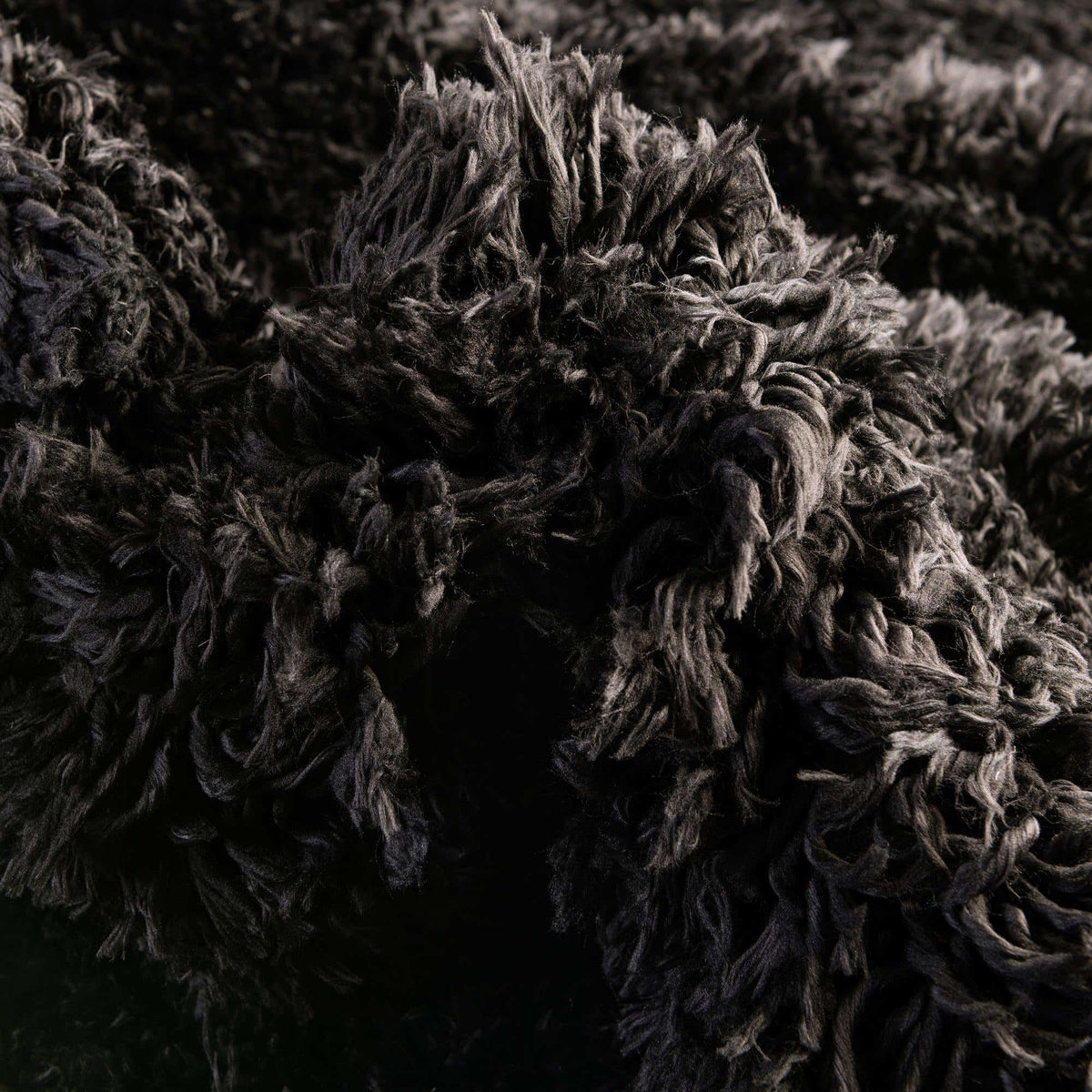 Rechteck Hochflorteppich Infinity Shag in Schwarz von Hadorn™ - Lifestyle Image